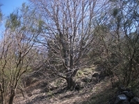 nte Fontane-01042012 116